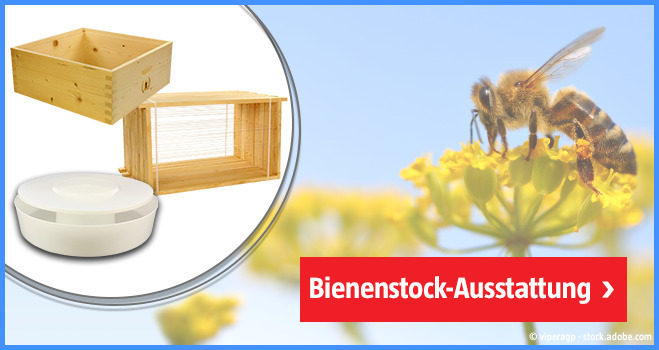 Bienenstock-Ausstattung