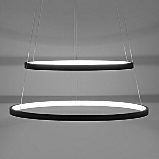 LeuchtenDirekt LED-Pendelleuchte rund Circle (L x B x H: 50 x 50 x 120 cm)