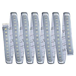 Paulmann MaxLED LED-Band 1000 Stripe (L x H: 2,5 m x 4 mm, Silber)