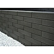 Mauerabdeckplatte C-Line (50 x 25 x 8,5 cm, Anthrazit, Beton)
