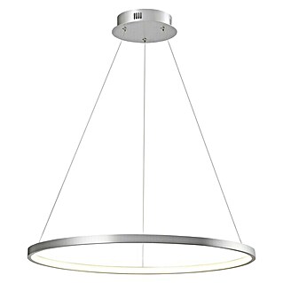 Paul Neuhaus LED-Pendelleuchte rund Circle (80 W, Weiß, Warmweiß)