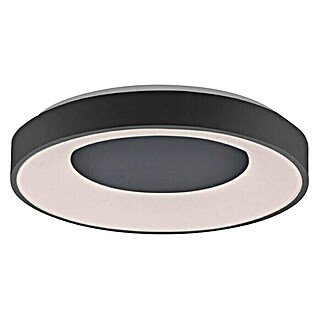 LeuchtenDirekt LED stropna svjetiljka Anika (60 W, Crne boje, Topla bijela)