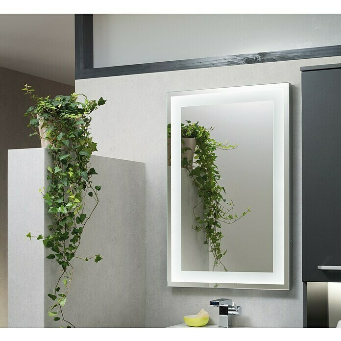 Glas-Bild Wandbilder Druck auf Glas 100x50 Deko Blumen & Pflanzen Kakteen 