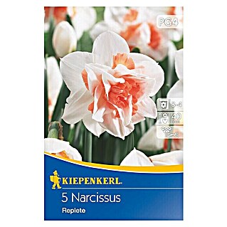 Kiepenkerl Frühlingsblumenzwiebeln Gefüllte Narzisse Replete (Narcissus pseudonarcissus, 5 Stk.)