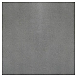 Alberts Glattblech (L x B x S: 1 000 x 120 x 0,8 mm, Aluminium)