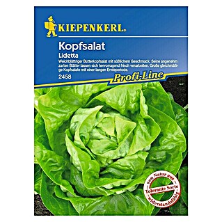 Kiepenkerl Profi-Line Salatsamen Kopfsalat (Lidetta, Lactuca sativa var. capitata, Erntezeit: Mai - Oktober)