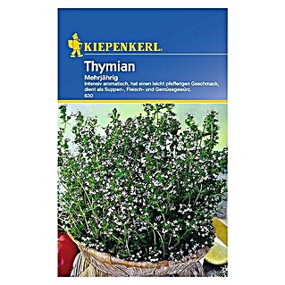 Kiepenkerl Kräutersamen Thymian (Thymus vulgaris, Saatzeit: April - August, Erntezeit: Ganzjährig)
