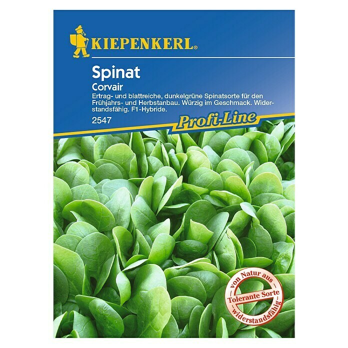 Kiepenkerl Profi-Line Gemüsesamen Spinat 