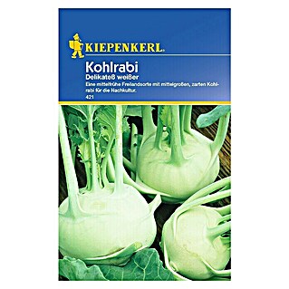 Kiepenkerl Gemüsesamen Kohlrabi Delikateß (Brassica oleracea var. gongylodes, Erntezeit: Juni - Oktober)