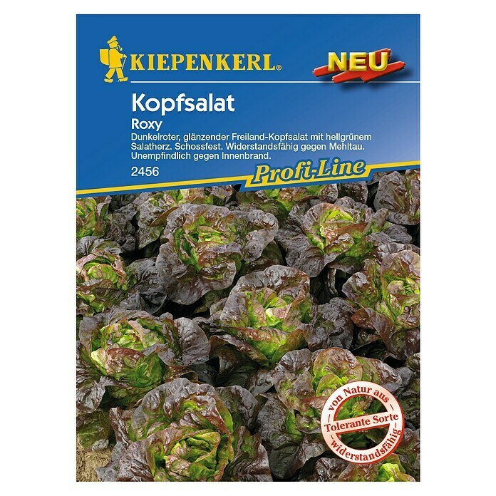 Kiepenkerl Profi-Line Salatsamen Kopfsalat 