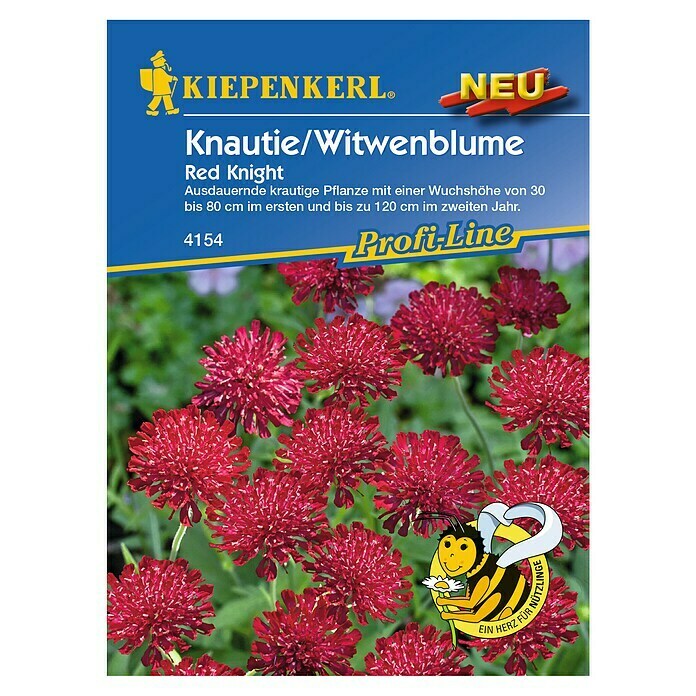 Kiepenkerl Profi-Line Blumensamen Knautie / Witwenblume 
