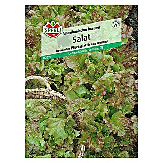 Sperli Salatsamen Pflücksalat (Amerikanischer brauner, Lactuca sativa, Erntezeit: Mai - Oktober)