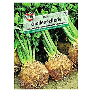 Sperli Gemüsesamen Knollensellerie (Apium graveolens, Erntezeit: September - November)