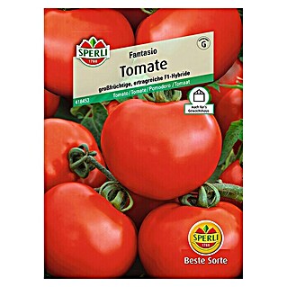 Sperli Gemüsesamen Tomate (Fantasio, Solanum lycopersicum, Erntezeit: Juli - Oktober)