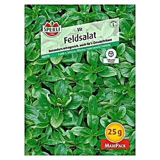 Sperli Salatsamen Feldsalat (Vit - Maxi Pack, Valerianella locusta, Erntezeit: Ganzjährig)
