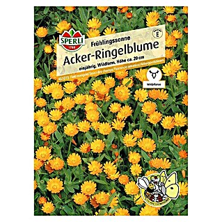 Sperli Blumensamen Acker-Ringelblume (Calendula arvensis, Blütezeit: Juli - Oktober)