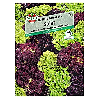 Sperli Salatsamen Pflücksalat (Fitness Mix, Lactuca sativa, Erntezeit: Mai - Oktober)