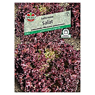 Sperli Salatsamen Pflücksalat (Lollo Rossa, Lactuca sativa, Erntezeit: Mai - Oktober)