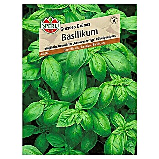 Sperli Kräutersamen Basilikum (Großes Grünes, Ocimum basilicum, Saatzeit: Mai - Juli, Erntezeit: Ganzjährig)