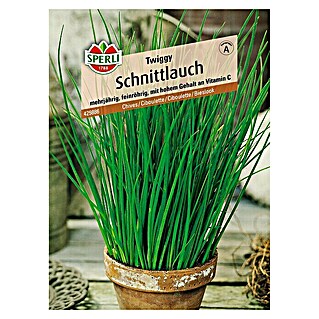 Sperli Kräutersamen Schnittlauch (Twiggy, Allium schoenoprasum, Saatzeit: April - Mai, Erntezeit: Ganzjährig)