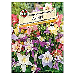 Sperli Blumensamen Akelei (Aquilegia vulgaris, Blütezeit: Mai - Juni)