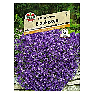 Sperli Blumensamen Blaukissen (Aubrieta x Hybrida, Blütezeit: März - Mai)