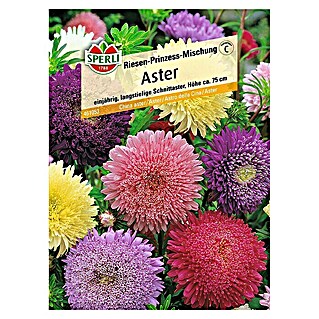 Sperli Blumensamen Aster (Riesen-Prinzess-Mischung, Callistephus chinensis, Blütezeit: August - Oktober)