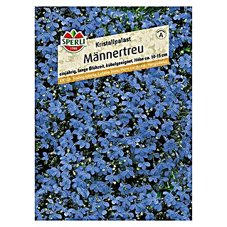 Sperli Blumensamen Männertreu (Lobelia erinus, Blau)