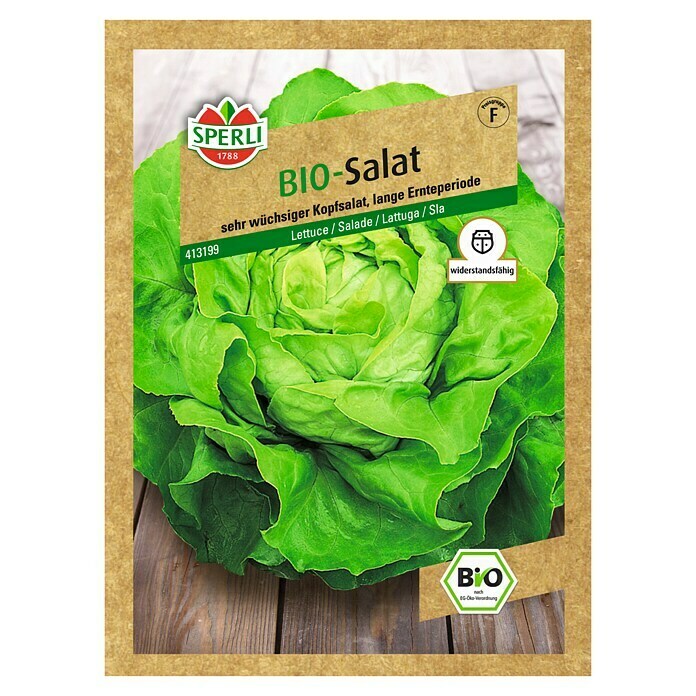 Sperli Salatsamen Bio Kopfsalat 