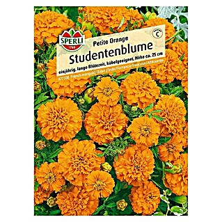 Sperli Blumensamen Studentenblume (Tagetes patula, Gelb-Orange)