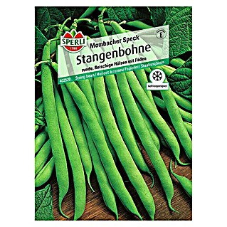 Sperli Gemüsesamen Stangenbohne (Mombacher Speck, Phaseolus vulgaris, Erntezeit: Juli - Oktober)