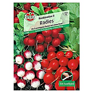 Sperli Gemüsesamen Radies (Kombination II, Raphanus sativus, Erntezeit: Mai - Oktober)