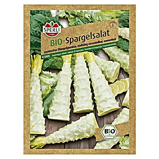 Sperli Salatsamen Bio Salat 'Chinesische Keule' (Lactuca sativa, Erntezeit: Juni - Oktober)