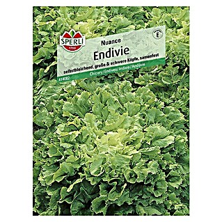 Sperli Salatsamen Endivie (Cichorium endivia, Erntezeit: Mai - November)