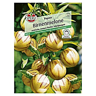Sperli Obstsamen Birnenmelone (Erntezeit: August - Oktober)