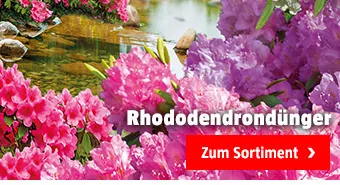 Rhododendrondünger kaufen