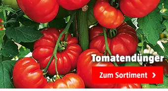 Tomatendünger kaufen