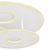 Globo LED-Deckenleuchte rund (Opal, Ø x H: 50 x 13 cm)