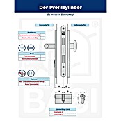 Tür Schloss BASI AS GL N+G Profil-Doppelzylinder 
