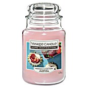 Yankee Candle Home Inspirations Duftkerze (Im Glas, Strawberries & Cream, Large)