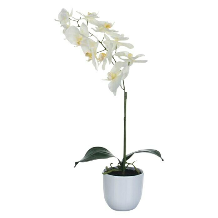Kunstpflanze Phalaenopsis 