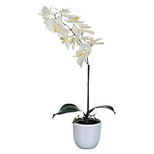 Kunstpflanze Phalaenopsis (Höhe: 60 cm, Weiß, Kunststoff)
