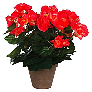 Kunstpflanze Begonia (Höhe: 30 cm, Rot, Kunststoff)