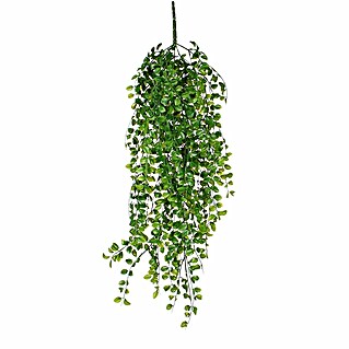 Planta artificial Ficus (Altura: 81 cm, Verde, Plástico)