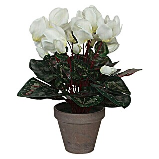 Kunstpflanze Cyclamen (Höhe: 30 cm, Weiß, Kunststoff)