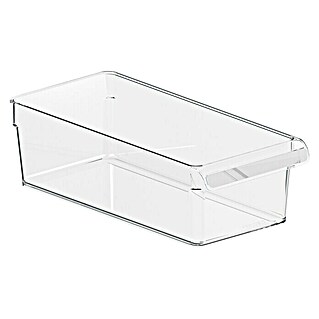 Rotho Aufbewahrungsbox Loft (L x B x H: 31 x 14 x 9 cm, Kunststoff, Transparent)
