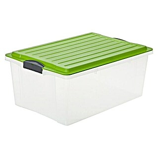 Rotho Stapelbox Compact (L x B x H: 57 x 40 x 25 cm, Deckelfarbe: Grün, Kunststoff)