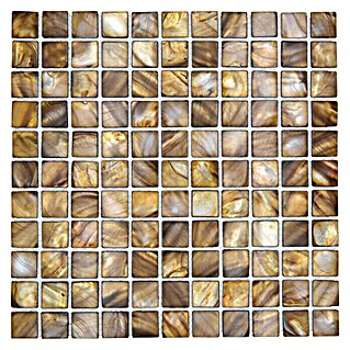 Mozaïektegel vierkant Mix SM 2569 (30 x 30 cm, Beige/Bruin, Glanzend)
