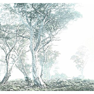Komar Raw Fototapete Magic Trees (3 -tlg., B x H: 300 x 280 cm, Vlies)