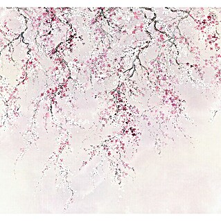 Komar Ink Fototapete Kirschblüten (6 -tlg., B x H: 300 x 280 cm, Vlies)